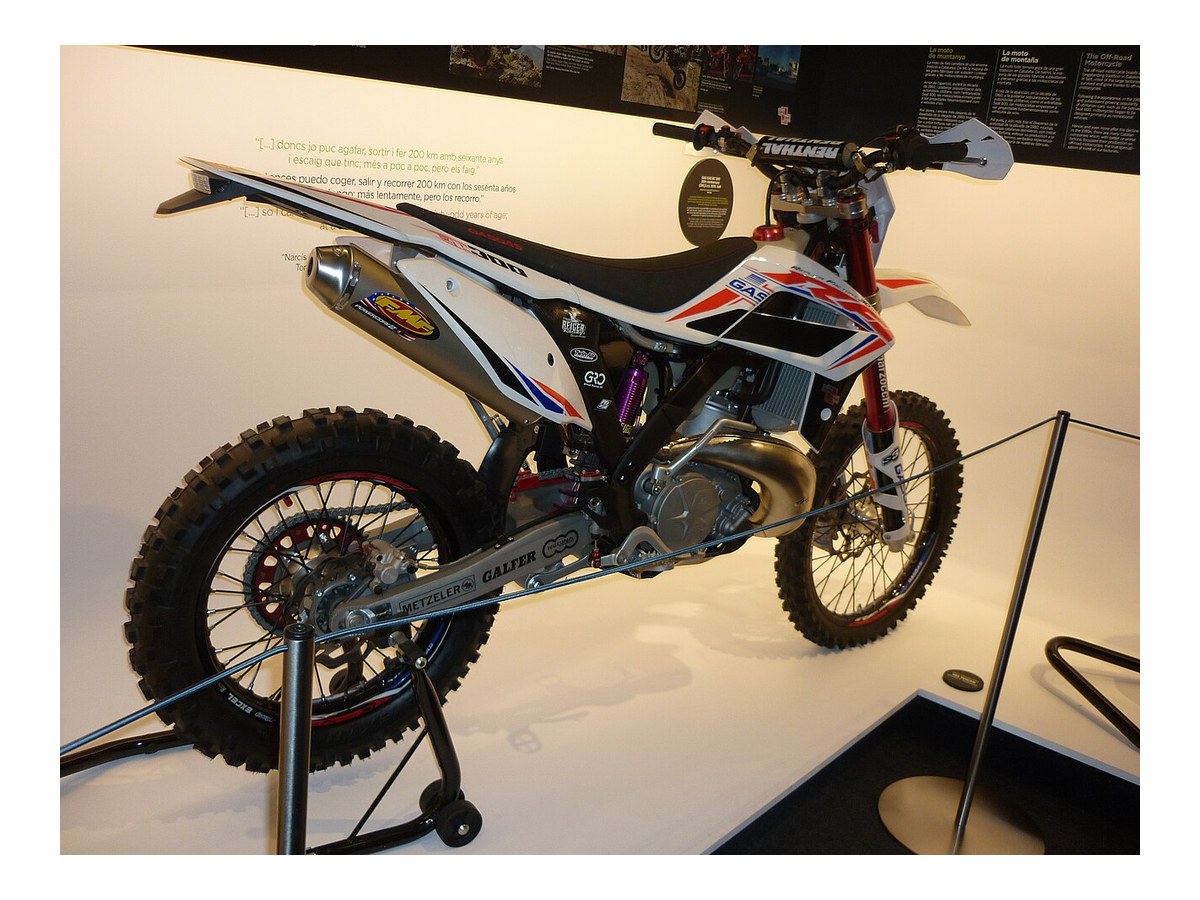 GasGas EC 300
