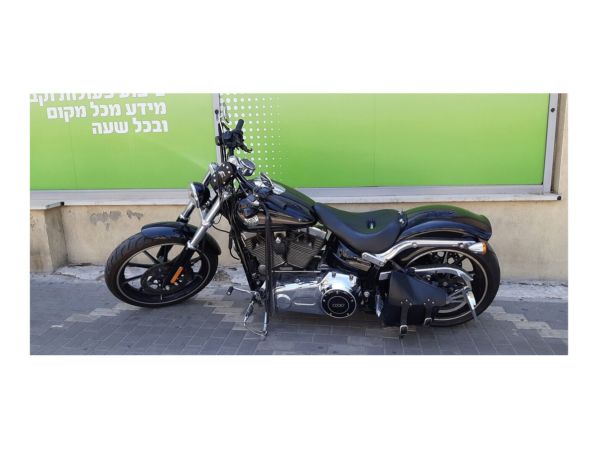 Harley Softail